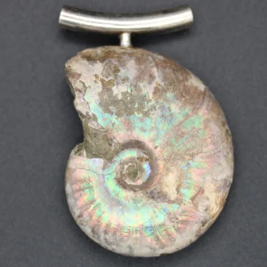Ammonit Anhänger