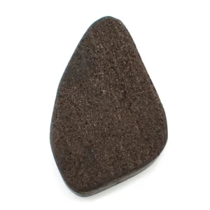 Fossiles Holz Anhänger