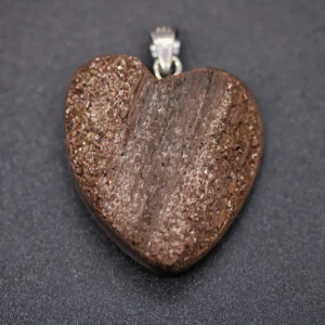 Fossiles Holz Anhänger